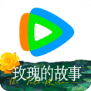 女王样在线视频